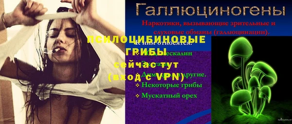 ПСИЛОЦИБИНОВЫЕ ГРИБЫ Алексин