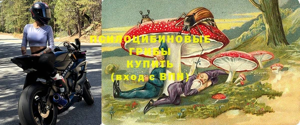 ПСИЛОЦИБИНОВЫЕ ГРИБЫ Алексин